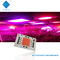 AC 110V 220V 50W 100W Driverless COB LED Chip 380-780nm do uprawy / oświetlenia ulicznego