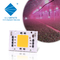 Całospektrowy AC 50w LED COB Chip 200v 240v 4046 AC LED Chip For Grow Light