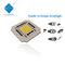 25 * 25mm 100 Watt COB LED Chip 120DEG 110V LED COB do oświetlenia krajobrazu