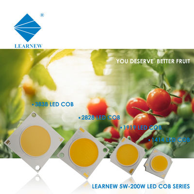 LED COB dla lamp ściennych i reflektorów