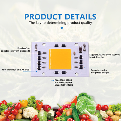 AC 200-240V COB LED Chips DOB 4060 30W 50W Do światła zewnętrznego LED