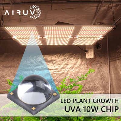 10W 365nm 385nm 395nm 6-7V Uva 3W Chipy LED do utwardzania UV
