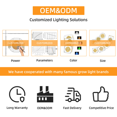 Bi kolor Cob Led Chip 6060 Dual CCT 2700K 6500K Cob Chip Wysokiej mocy 300W*2 LED