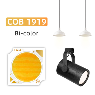 Bi-Color 1919 Chip White + Warm White 1919 Bi-Color SMD LED 18w 24w 25w 30w