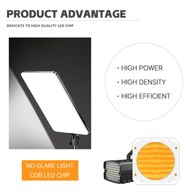 OEM ODM długość fali BI Kolor 205V SMD LED chip Ciepły biały + biały 6060 SMD LED chip emitujący