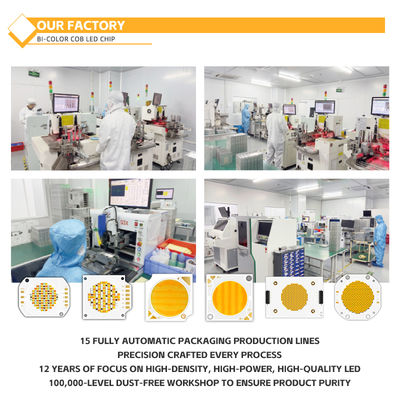 Specjalistyczny materiał aluminiowy COB Chip 2424 w białym niebieskim czerwonym i zielonym wysokiej jasności China Factory