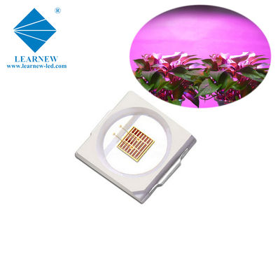 1W SMD 3030 Blue LED Grow Light Chip 440-470nm 300mA 3,0-3,4V
