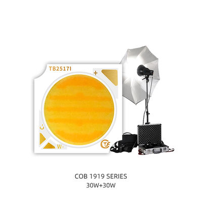 1919 COB LED Chip 9V-24V Input Voltage 15W-30W Power Range with 120° Viewing Angle for LED Spotlight & Car Light