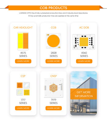 30W+30W DWA-KOLOR 1919 COB LED CHIP DOWNLIGHTS Światła wewnętrzne SPOTLIGHTS 36-38V DIMMABLE CCT Dwa kolory 2700-6500K