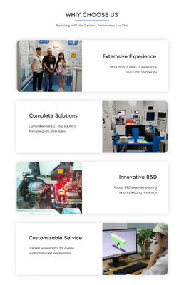 Zaawansowane 365nm 385nm 395nm High Power UVA LED SMD6868 10W High Lumen 6.0-7.0V UV Light for Greenhouse Plant Growth UV Curing