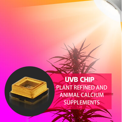 Beauty UVB 3W Chip 315nm Factory Price 3535 LED Diode SMD 311nm 500mA Tanning Lamp LED Diode SMD  306nm 295nm 110mW