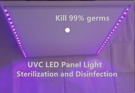 1W 225nm UVC Pick up 233.8nm Led Optical Power 2-3mW 6-8V 150mA SMD 3.8mm UV-C LEDs Diode 60° Soczewka kopułkowa
