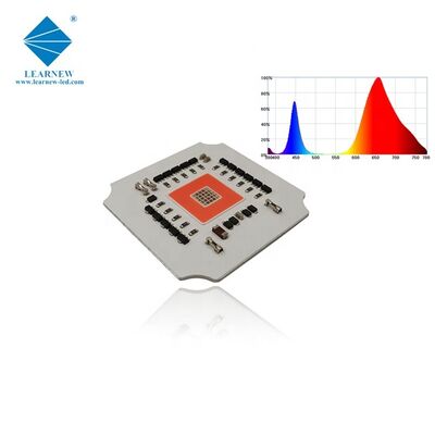 100w 7070 Niskiej odporności termicznej GROW LED COB do oświetlenia roślin