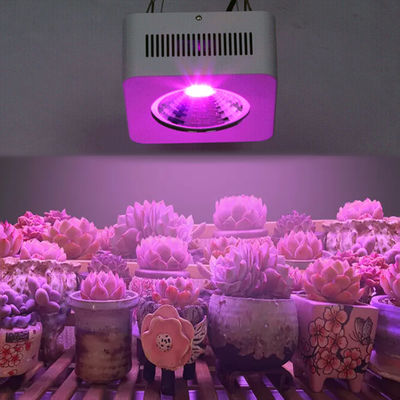 200 W pełnofrekwencyjny COB LED Grow Light Multi Wavelength Aluminium