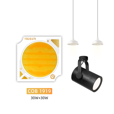 Nowy produkt Dwukolorowy 1919 Chip Biały + Ciepły Biały 1919 Dwukolorowa dioda LED SMD 18w 24w 25w 30w