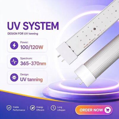Lampa UV Wielorozmiarowa o Wysokiej Emisyjności Rumieniowej 365Nm Lampa UV z Pełnymi Certyfikatami Branżowymi Lampa Solarium UV 100W 120W