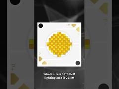 3838 dwukolorowa dioda LED COB